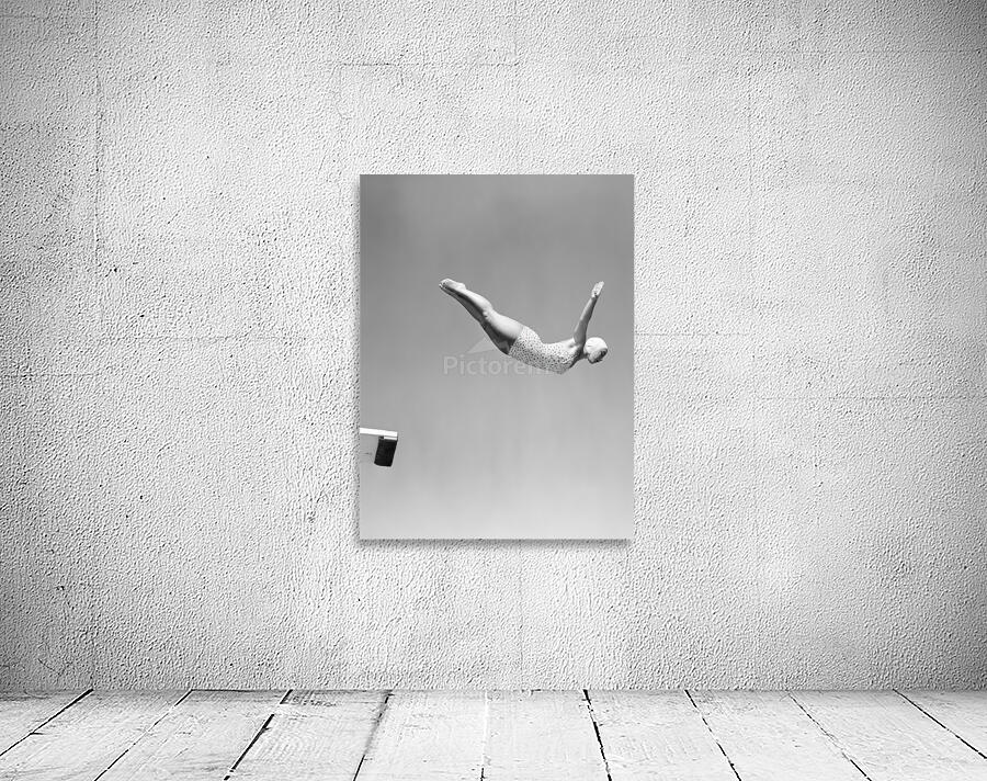 Springboard diver Wall Preview