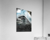Bird Nest Acrylic Print