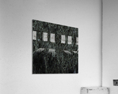 Edge Acrylic Print