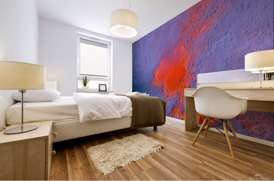 Seaset Mural print