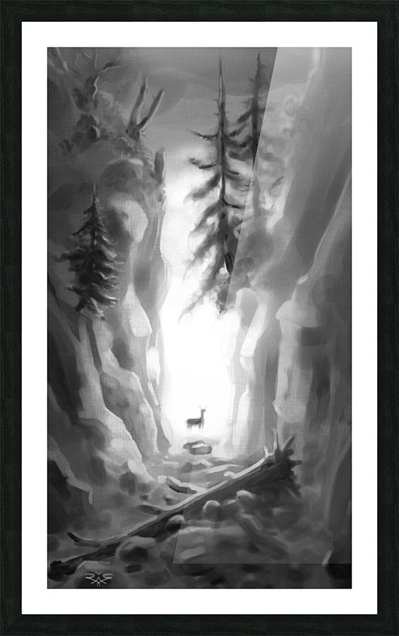 Canyon Picture Frame print