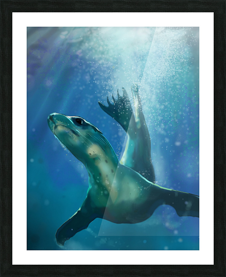Sea Lion Picture Frame print