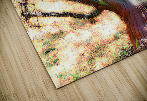 Manzanita Robert Stretch puzzle