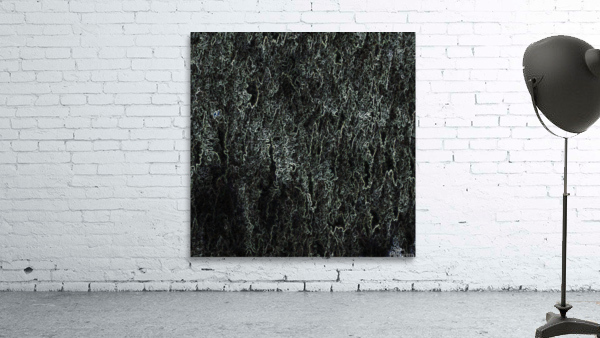 Edge Wall Preview