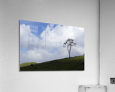 Natural landscape Acrylic Print