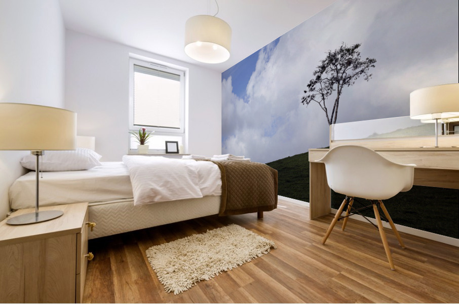Natural landscape Mural print
