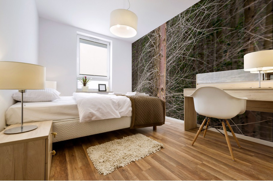 Eucalyptus 01 Mural print