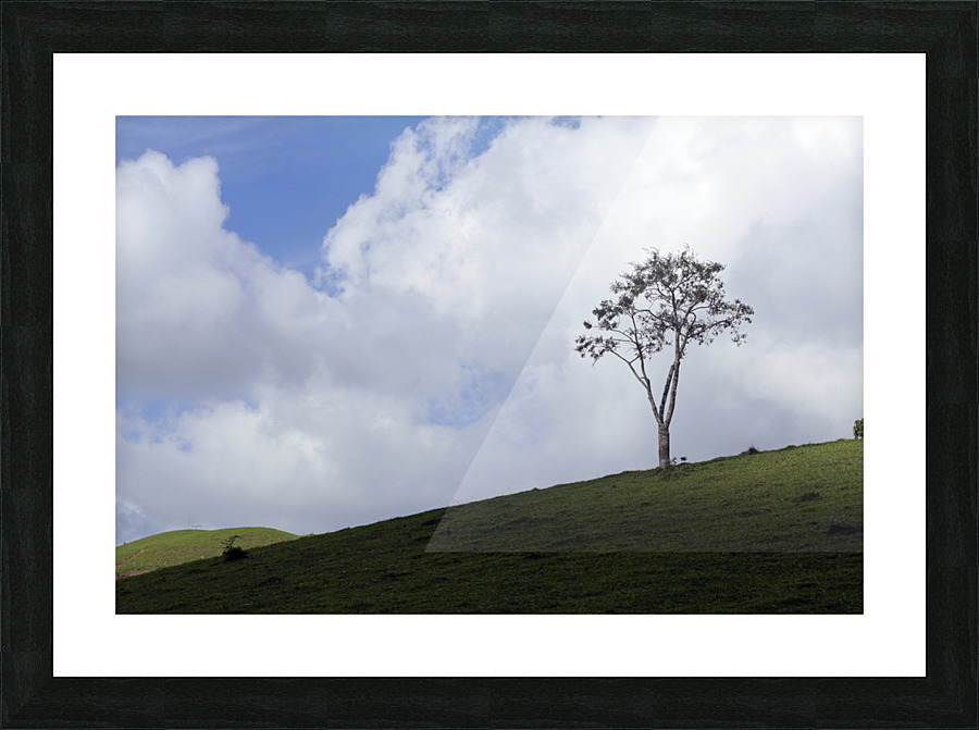 Natural landscape Picture Frame print