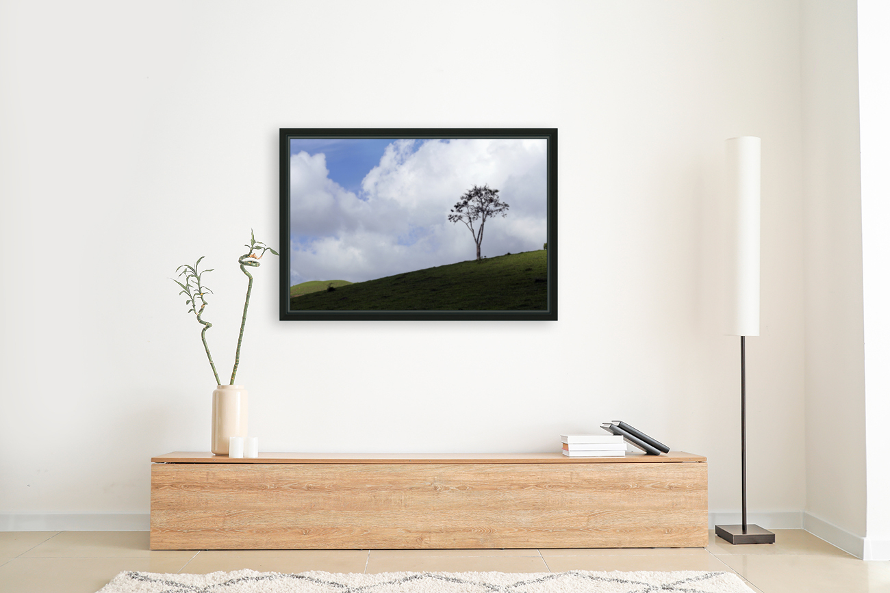 Natural landscape Reproduction