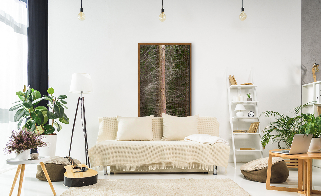 Eucalyptus 01 Reproduction
