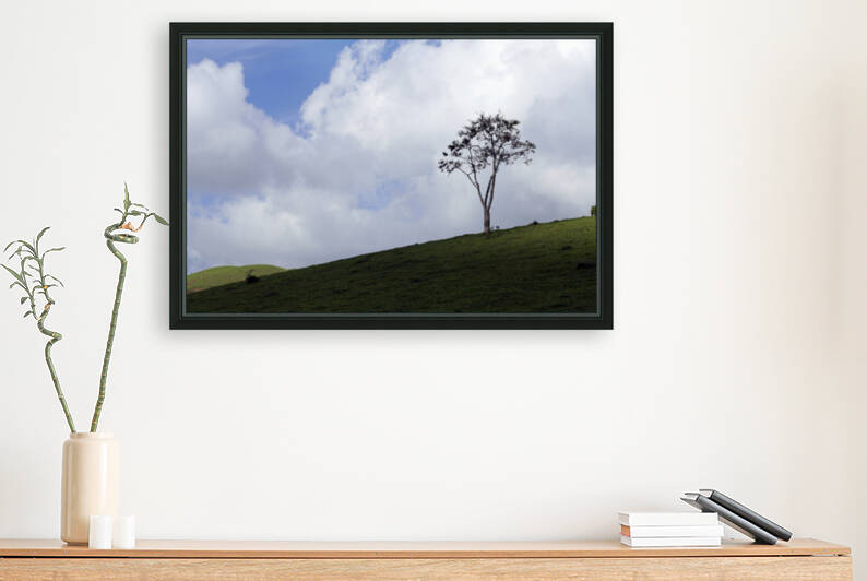 Natural landscape by fabiomsalles