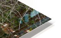 Eucalyptus 01 HD Metal print
