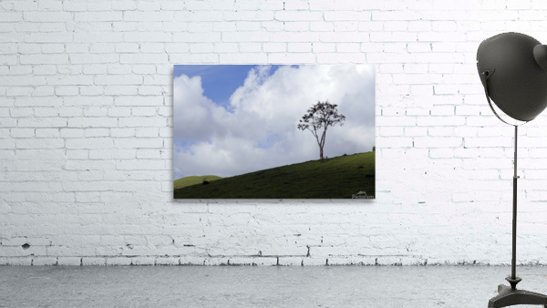 Natural landscape Wall Preview