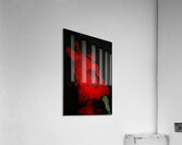  MG 4733 Acrylic Print
