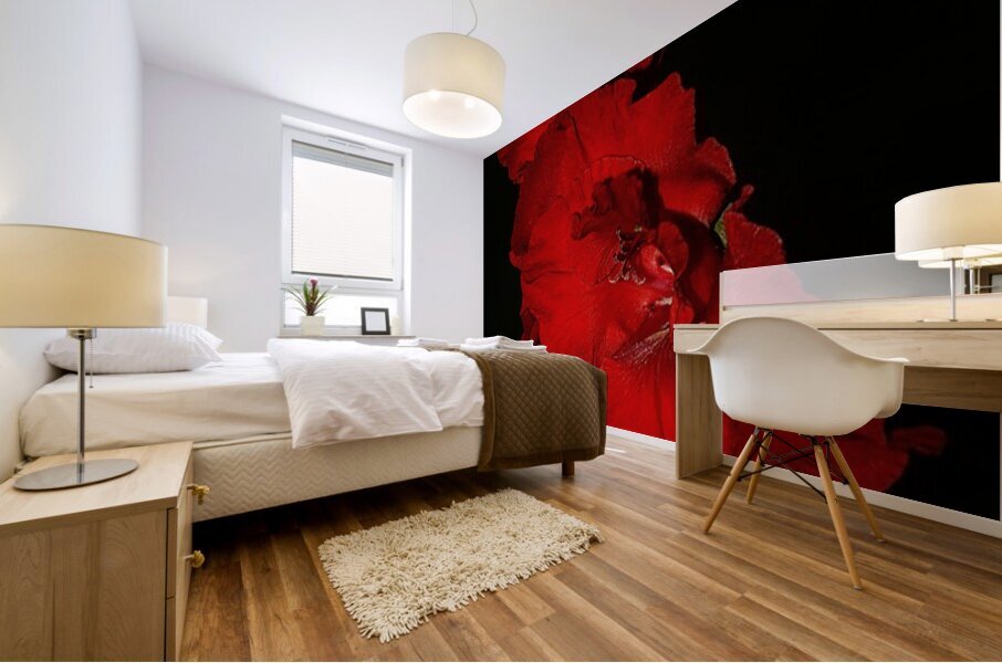  MG 4733 Mural print