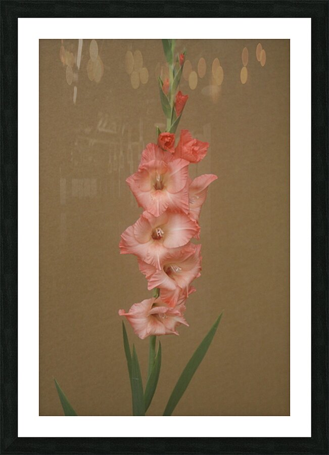  MG 4908 Picture Frame print