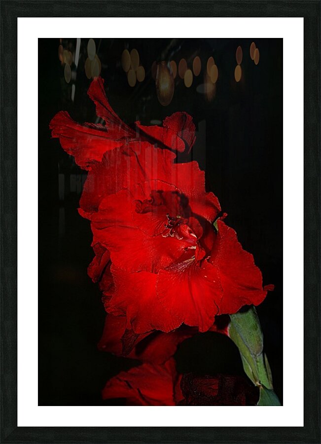  MG 4733 Picture Frame print