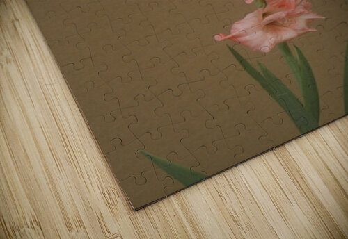  MG 4908 Billy Ottinger puzzle