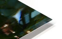 IMG 2468 HD Metal print