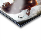 Tomb Raider Acrylic print
