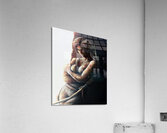 Tomb Raider Acrylic Print