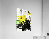 HumanEye Acrylic Print