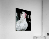 Rooster Pop art Acrylic Print