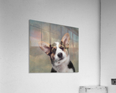 Corgi Smile Acrylic Print