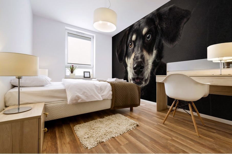 dog surprise Mural print