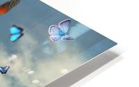 kiro and the butterflies HD Metal print