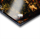 Abstract Autumn 01 Acrylic print