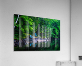 The View Acrylic Print