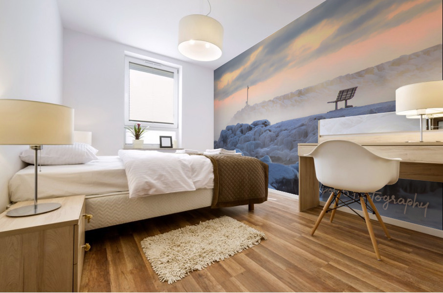 Winters Chill Mural print