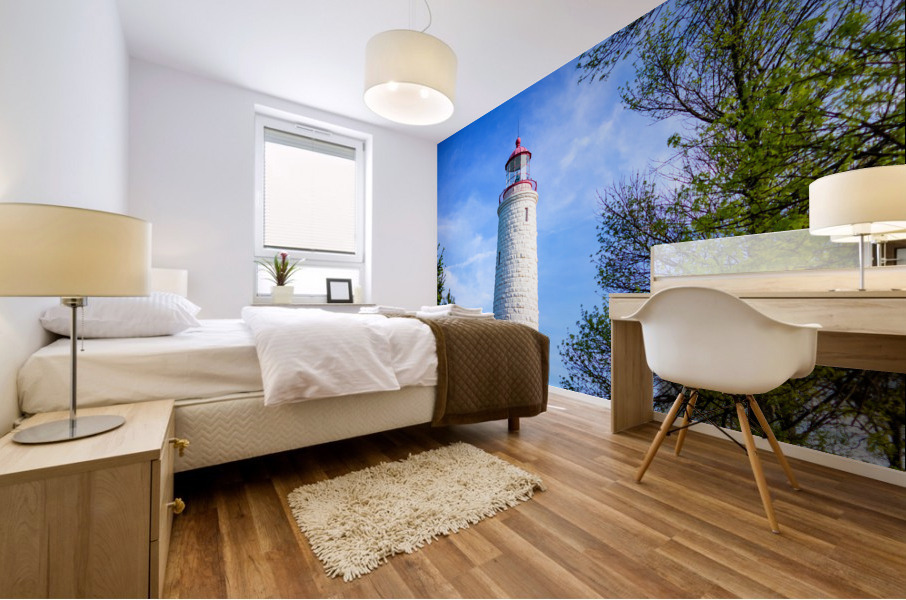Light in the Sky Mural print