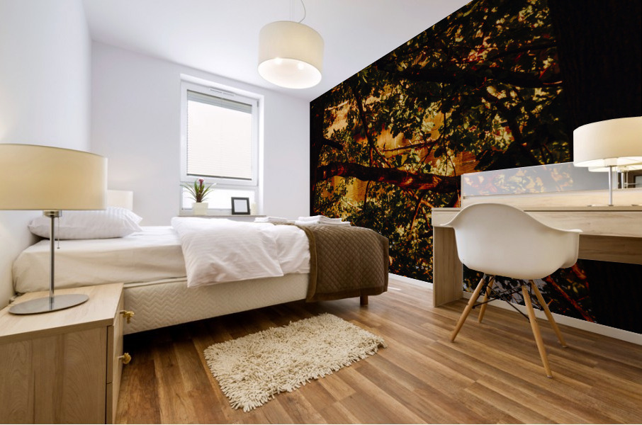 Abstract Autumn 01 Mural print