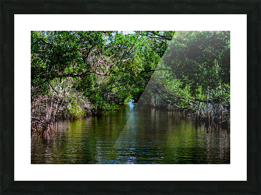 River Canopy Picture Frame print