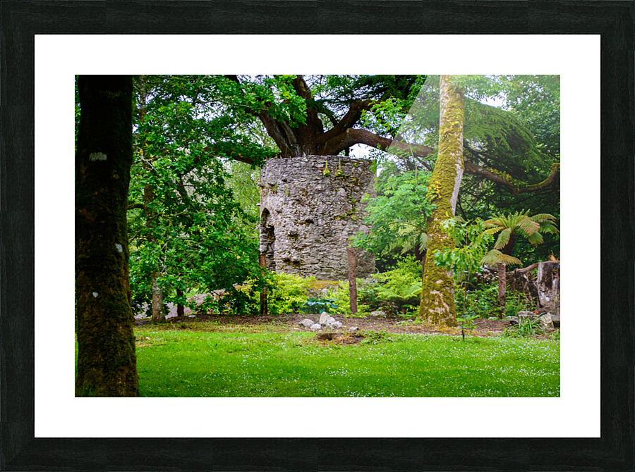 Blarney Gardens Picture Frame print