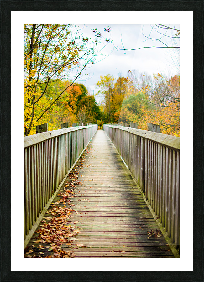 The Journey Picture Frame print
