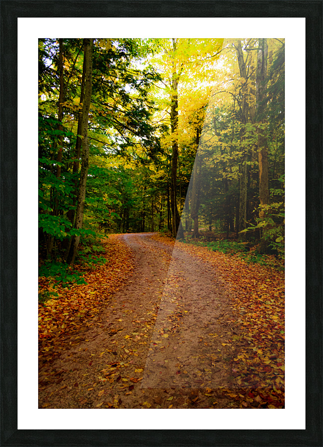 Path to Winter Picture Frame print