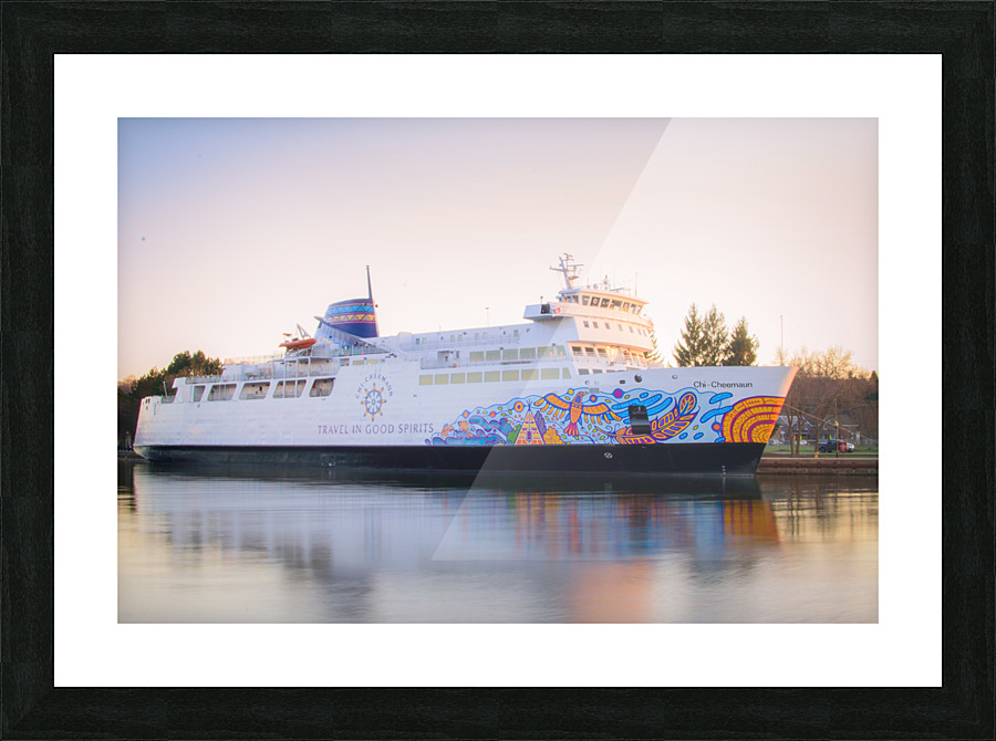 Chi Cheemaun 02 Picture Frame print