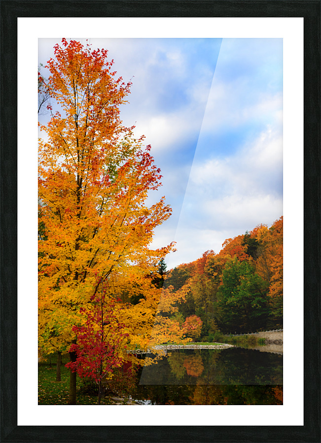Autumn Gold Picture Frame print