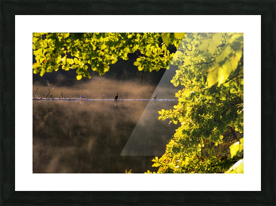 The Glimpse Picture Frame print
