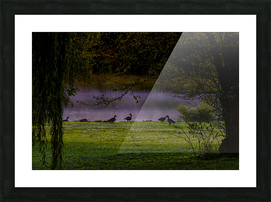 Purple Haze 01 Picture Frame print