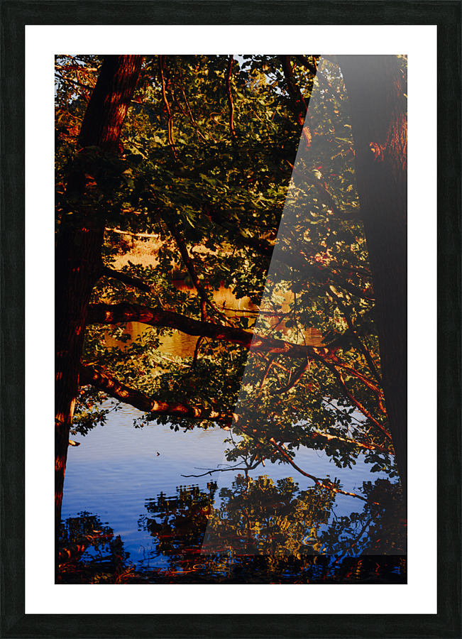 Abstract Autumn 01 Picture Frame print