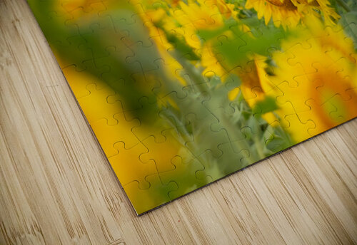 Above the Crowd Monica Roberts Photography puzzle