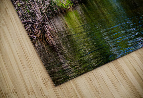 River Canopy Monica Roberts Photography puzzle