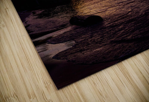 Harmonious Hibou  Monica Roberts Photography puzzle