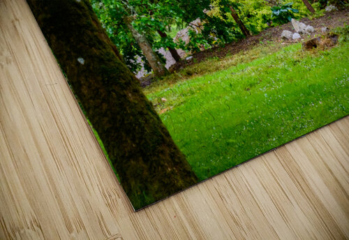Blarney Gardens Monica Roberts Photography puzzle
