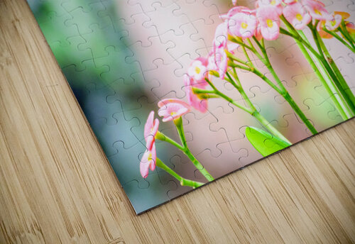 Butterfly Balance Monica Roberts Photography puzzle