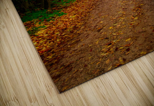 Path to Winter Monica Roberts Photography puzzle